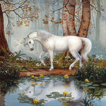 Sad Unicorn - DIY Painting By Numbers Kit