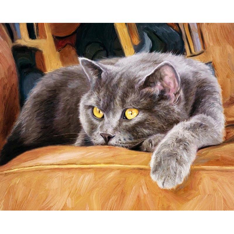 Cat Staring - DIY Painting By Numbers Kit