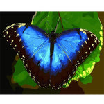 Blue Butterfly - DIY Painting By Numbers Kit