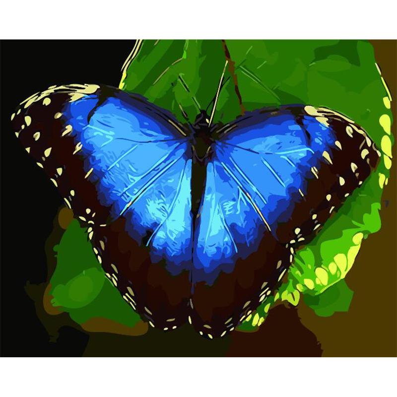 Acrylic Blue Butterfly - DIY Painting By Numbers Kit