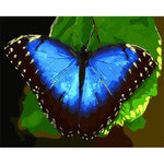 Acrylic Blue Butterfly - DIY Painting By Numbers Kit