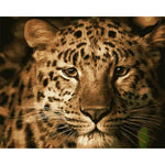 Fierce Cheetah - DIY Painting By Numbers Kit