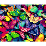 Colorful Butterflies - DIY Painting By Numbers Kit