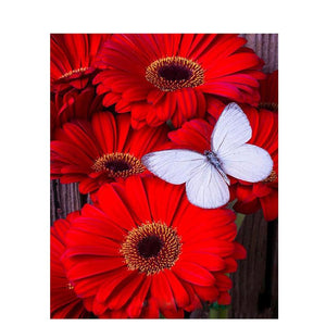 Red Flowers And Butterfly - DIY Painting By Numbers Kit