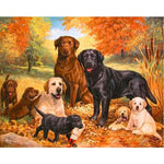 Pack of Puppies - DIY Painting By Numbers Kit