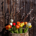 Tulip Flowers In Basket - DIY Painting By Numbers Kit