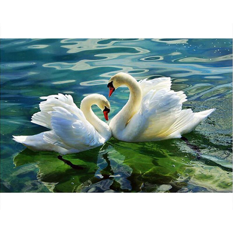 Two Lovely Swans - DIY Painting By Numbers Kit