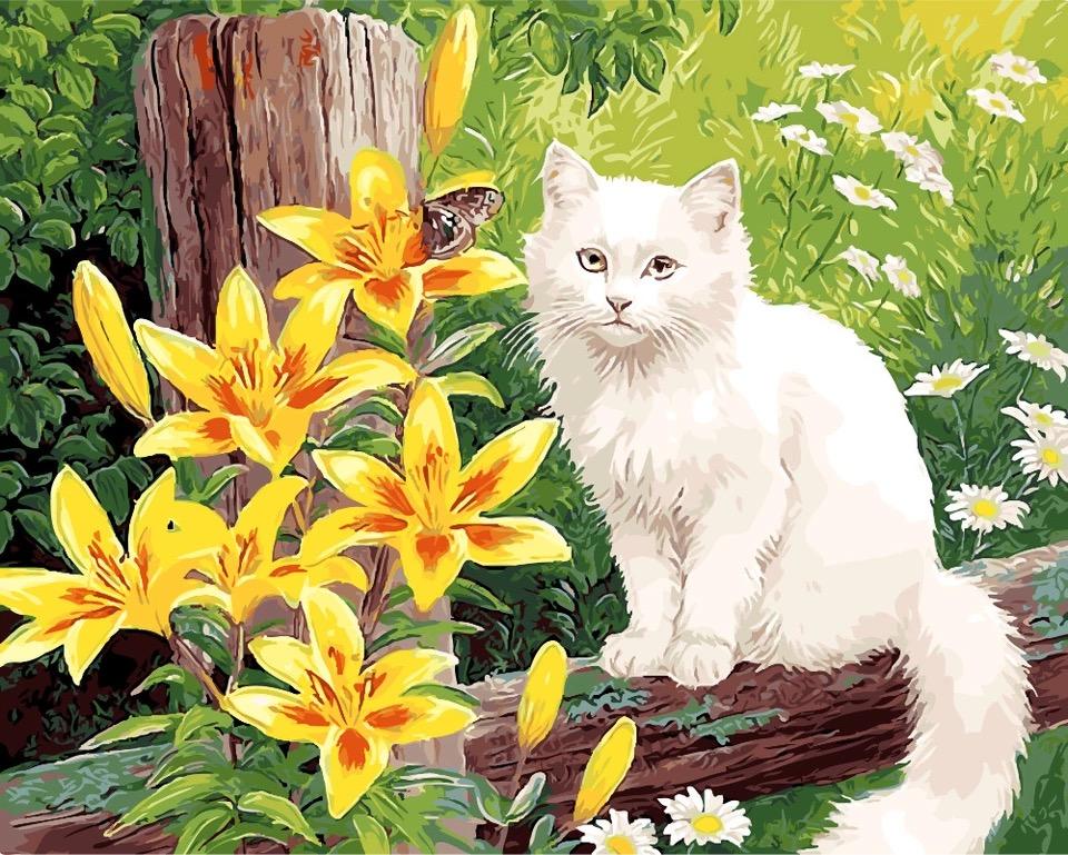 Kitty And Flowers - DIY Painting By Numbers Kit