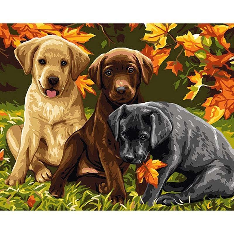 Three Cute Puppies - DIY Painting By Numbers Kit