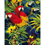 Incredible Parrots - DIY Painting By Numbers Kit