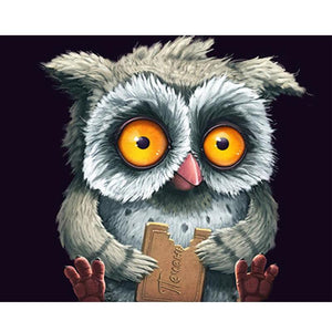 Clueless Owl - DIY Painting By Numbers Kit