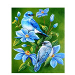 Blue Robin - DIY Painting By Numbers Kits