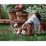 Puppy Fight - DIY Painting By Numbers Kits