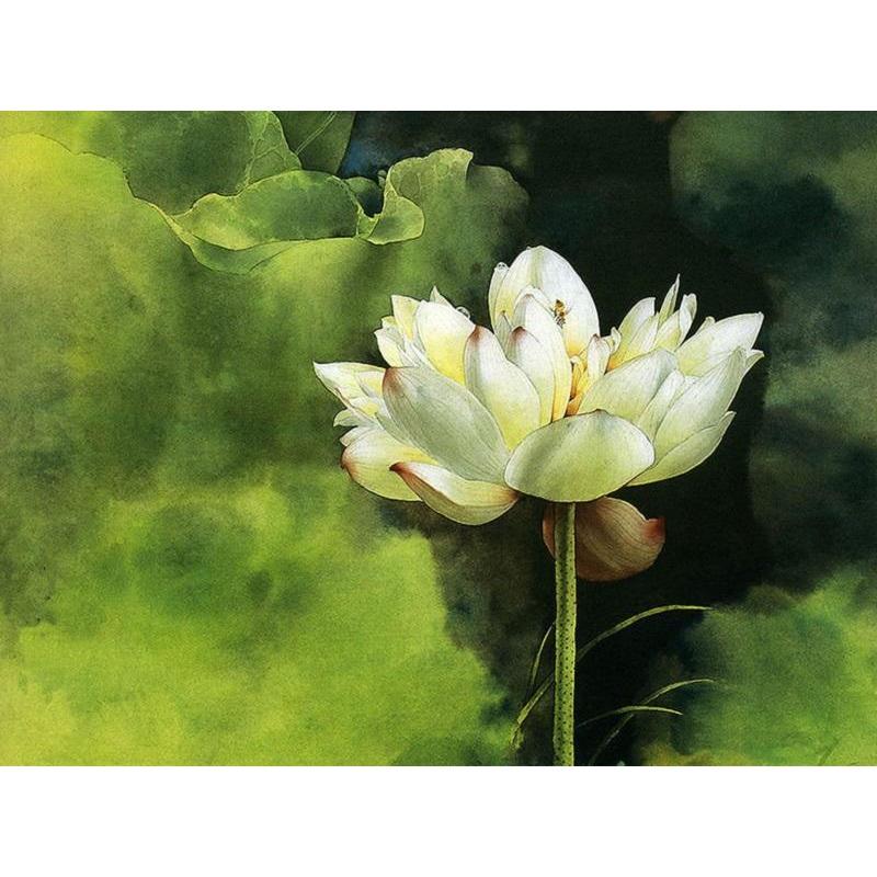 Beautiful Water Lily - DIY Paint By Numbers Kit