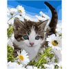 Cutest Cat Ever - DIY Painting By Numbers Kit