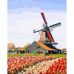 Tulip Garden 2 - DIY Painting By Numbers Kit