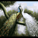 Peacock and Peahen - DIY Painting By Numbers Kit