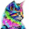 Colorful Cat - DIY Painting By Numbers Kit