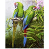 Amazing Parrots - DIY Painting By Numbers Kit