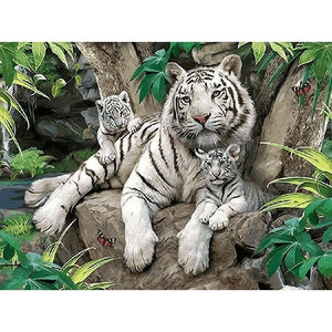 White Tigers - DIY Painting By Numbers Kits