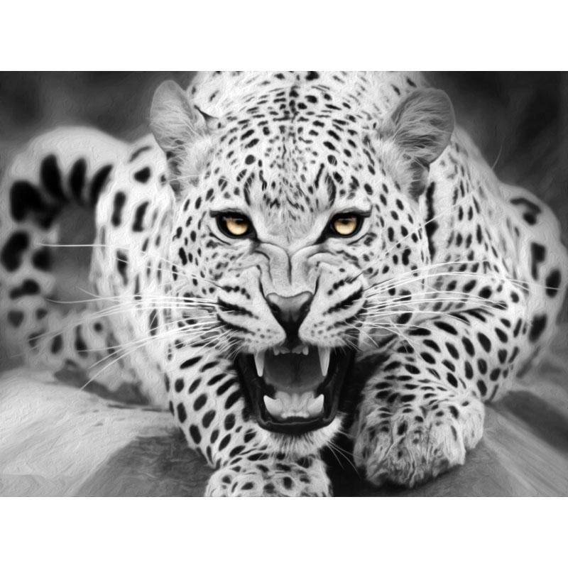 White Leopard - DIY Painting By Numbers Kit