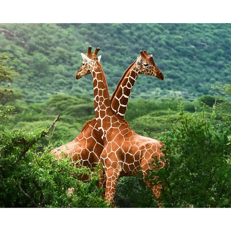 Couple Giraffe - DIY Painting By Numbers Kit