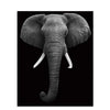 Elephant Elegance - DIY Painting By Numbers Kit