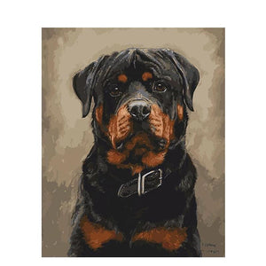 Innocent Rott - DIY Painting By Numbers Kit