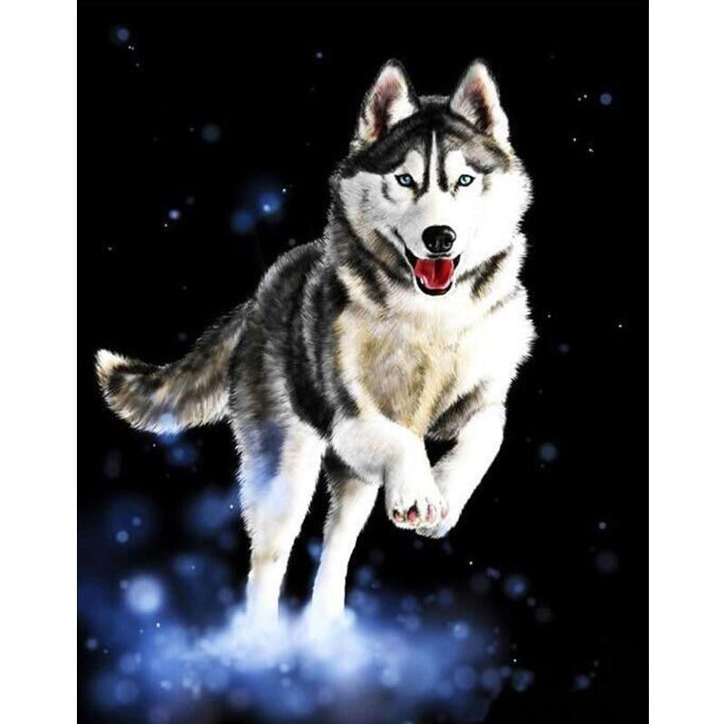 Jumping Husky - DIY Painting By Numbers Kits