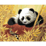 Panda and Kingfisher - DIY Painting By Numbers Kit