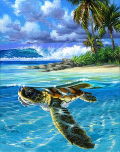 Blue Sea Turtle - DIY Painting By Numbers Kit