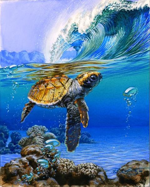 Sea Waves and Turtle - DIY Painting By Numbers Kit