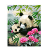 Panda Garden - DIY Painting By Numbers Kit