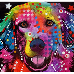 Innocent Color Dog - DIY Painting By Numbers Kit