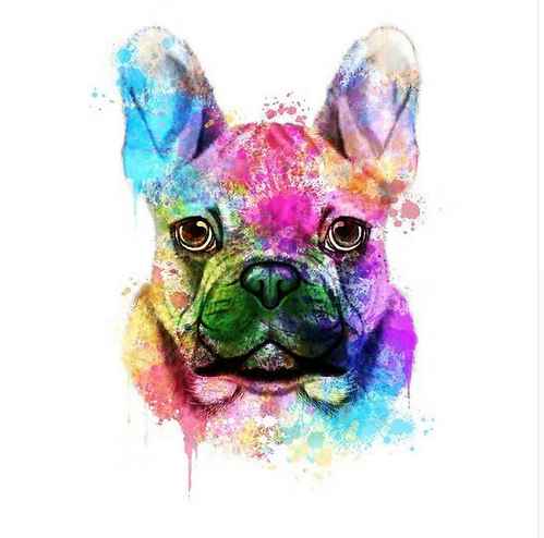 Bulldog Color Face - DIY Painting By Numbers Kit