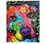 Cute Eyed Color Dog - DIY Painting By Numbers Kit