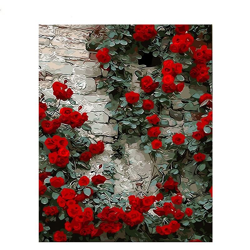 Red Flower On The Wall - DIY Painting By Numbers Kit