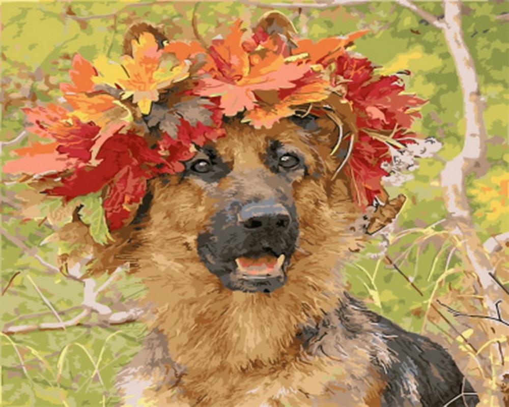 German Shepherd Leaf Crown - DIY Painting By Numbers Kit