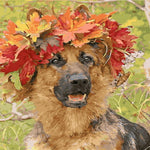 German Shepherd Leaf Crown - DIY Painting By Numbers Kit