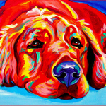 Sleepy Dog Colors - DIY Painting By Numbers Kit