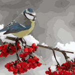 Snow Flower Bird - DIY Painting By Numbers Kit