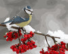 Snow Flower Bird - DIY Painting By Numbers Kit