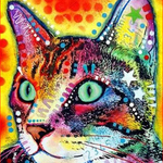 Star Cat - DIY Painting By Numbers Kit