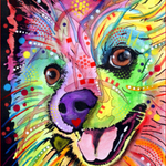 Color Pom Dog - DIY Painting By Numbers Kit