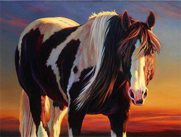 Horse Pose - DIY Painting By Numbers Kit