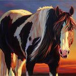 Horse Pose - DIY Painting By Numbers Kit