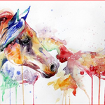 Paint Horse - DIY Painting By Numbers Kit