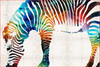 Grazing Zebra Color - DIY Painting By Numbers Kit