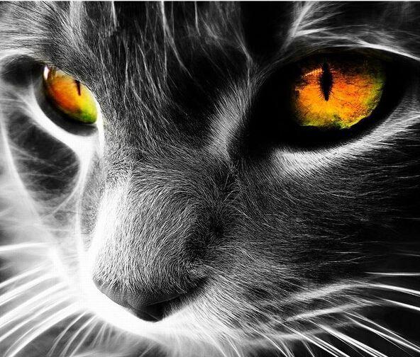 Yellow Eyed Cat Face - DIY Painting By Numbers Kit