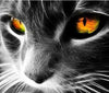 Yellow Eyed Cat Face - DIY Painting By Numbers Kit